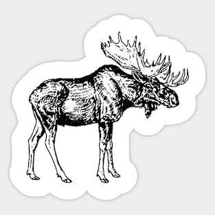 Deer Vintage // Pencil Sketch Sticker